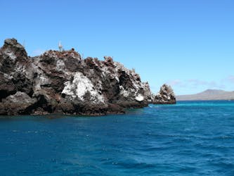 Pinzón Island full-day tour with snorkeling, fishing and La Fe excursion